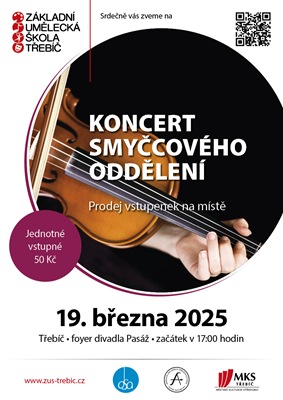 2025-03-19 smyčcový